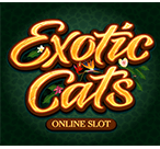 Microgaming BetON138
